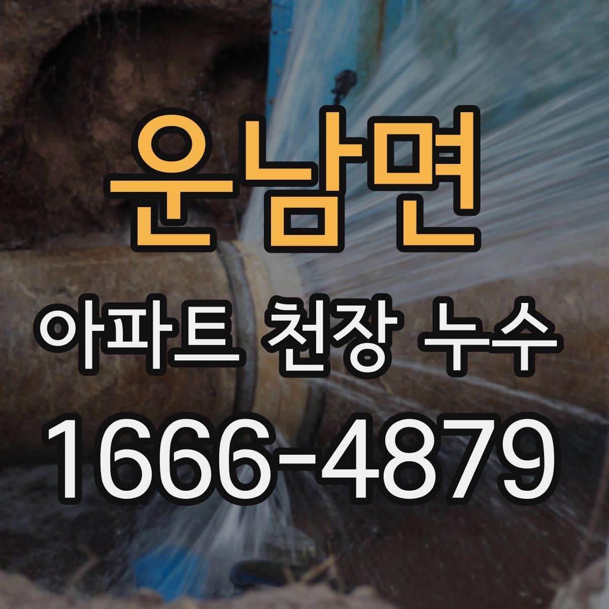 운남면 아파트 천장 누수