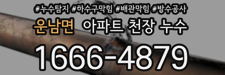 운남면 아파트 천장 누수