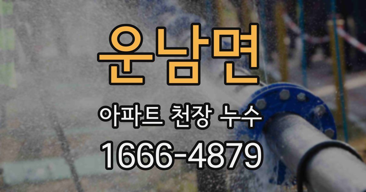 운남면 아파트 천장 누수