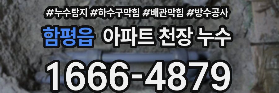 함평읍 아파트 천장 누수