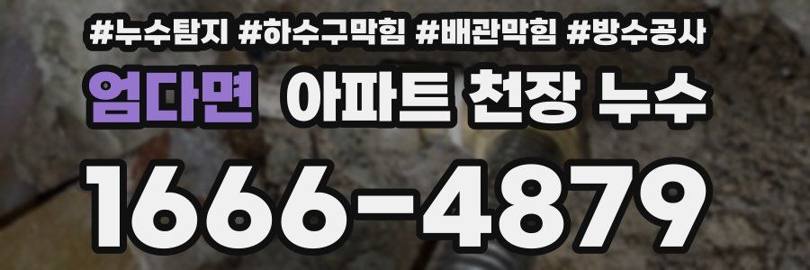 엄다면 아파트 천장 누수