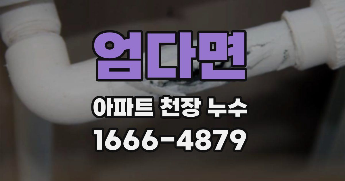 엄다면 아파트 천장 누수
