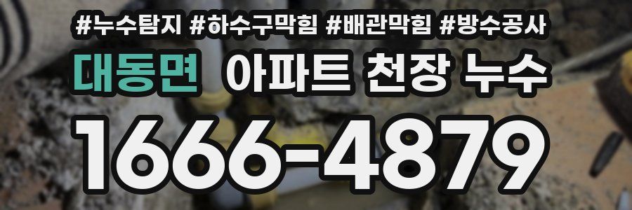 대동면 아파트 천장 누수