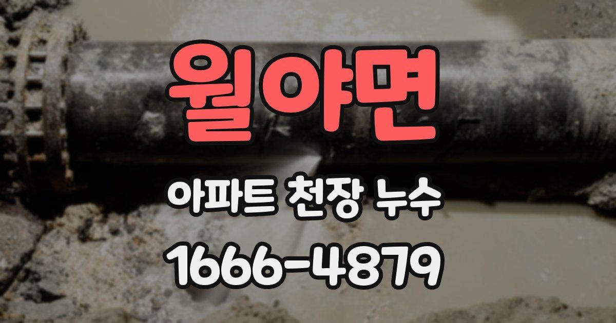 월야면 아파트 천장 누수