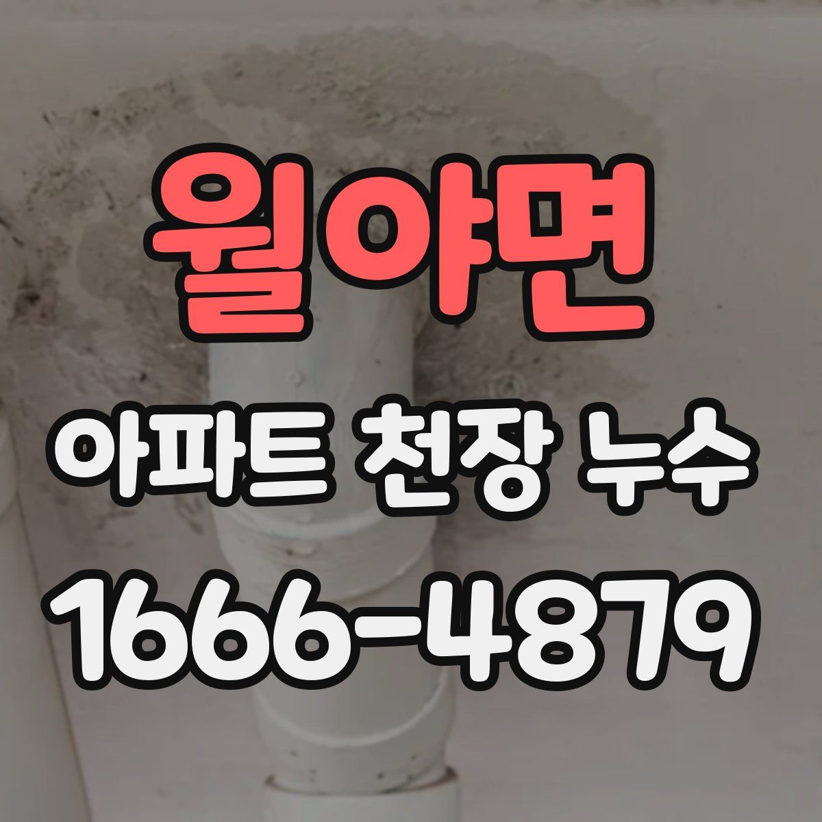월야면 아파트 천장 누수