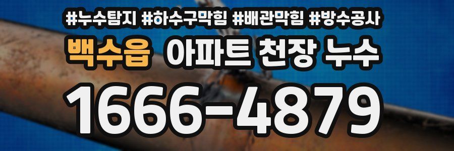백수읍 아파트 천장 누수
