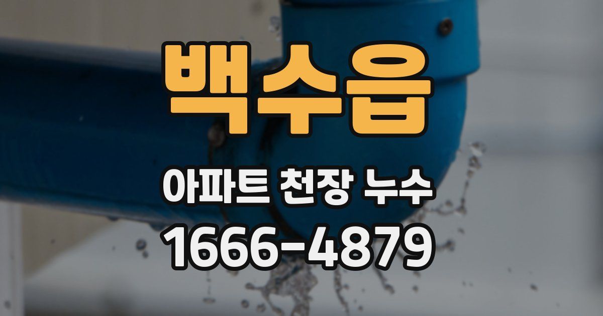 백수읍 아파트 천장 누수