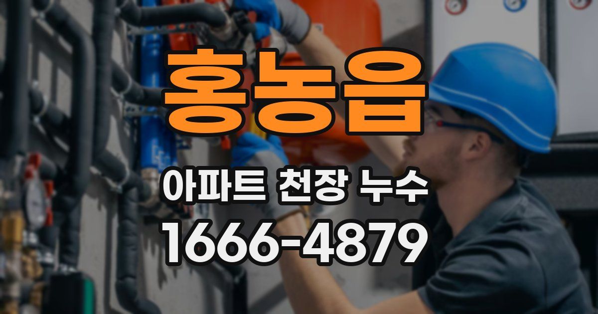 홍농읍 아파트 천장 누수