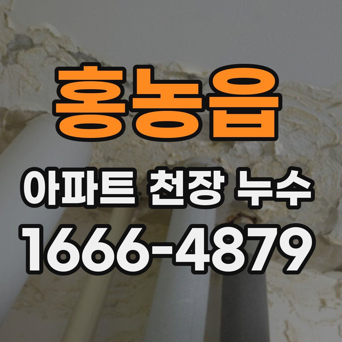 홍농읍 아파트 천장 누수