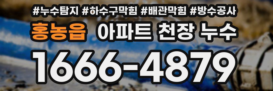 홍농읍 아파트 천장 누수