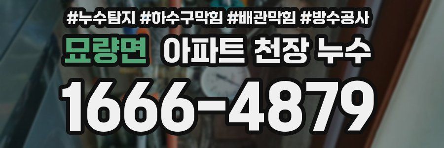 묘량면 아파트 천장 누수