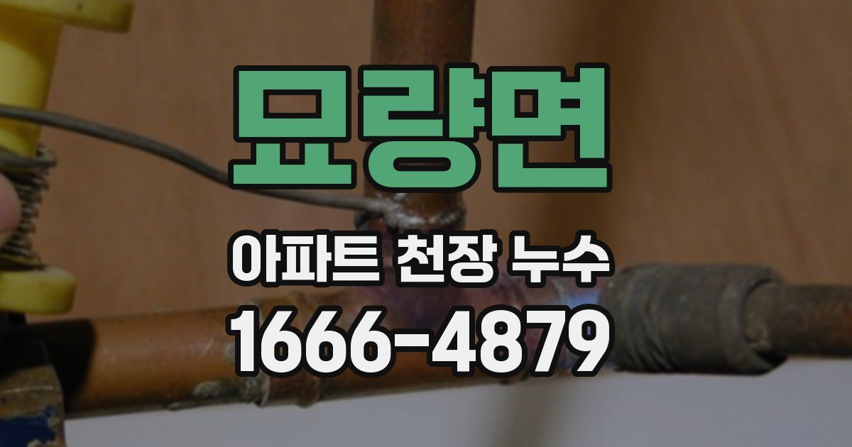 묘량면 아파트 천장 누수
