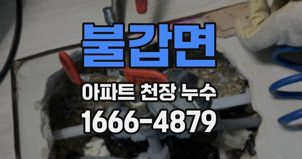 불갑면 아파트 천장 누수