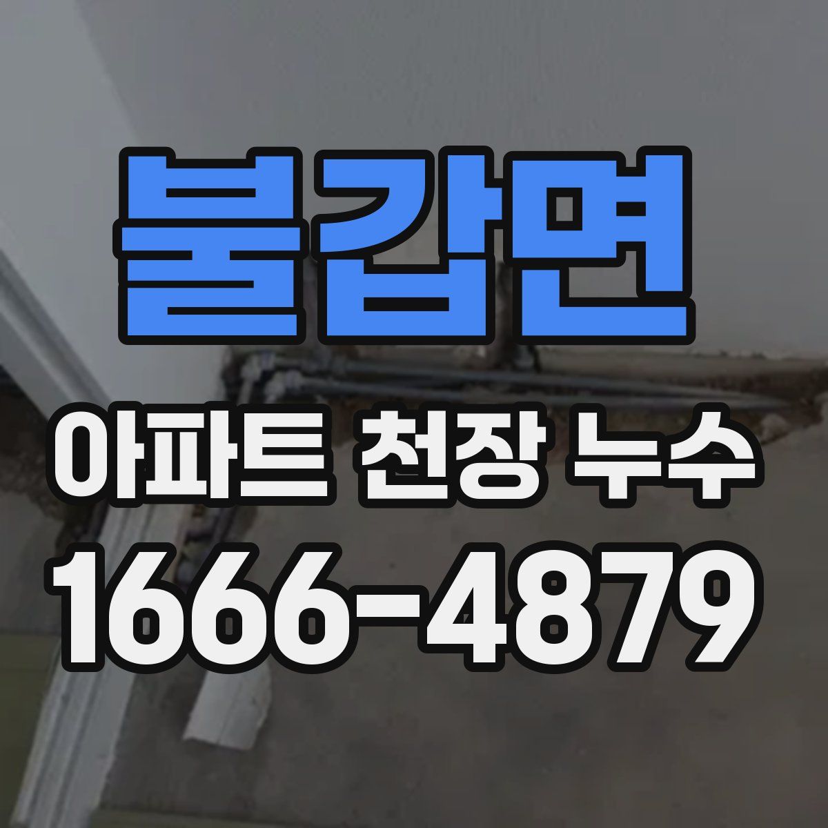 불갑면 아파트 천장 누수