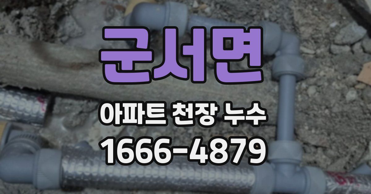 군서면 아파트 천장 누수