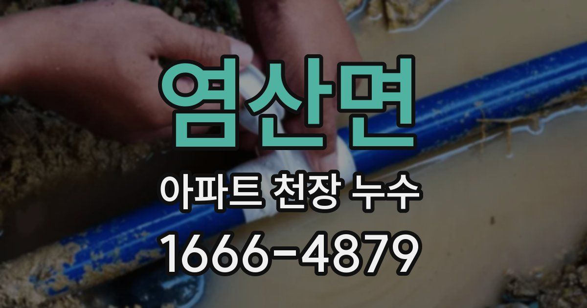 염산면 아파트 천장 누수