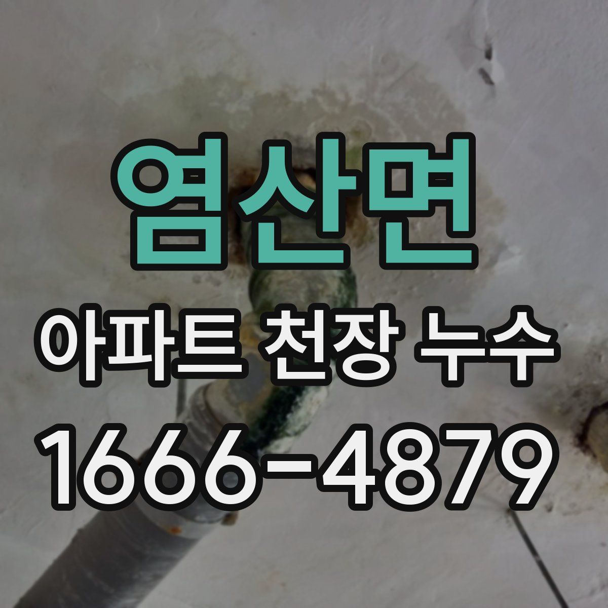 염산면 아파트 천장 누수