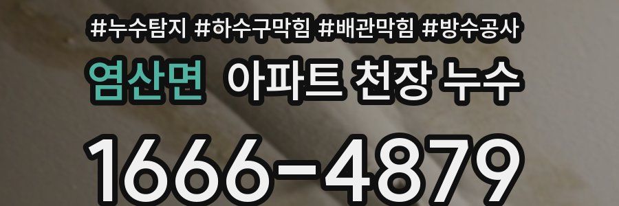 염산면 아파트 천장 누수