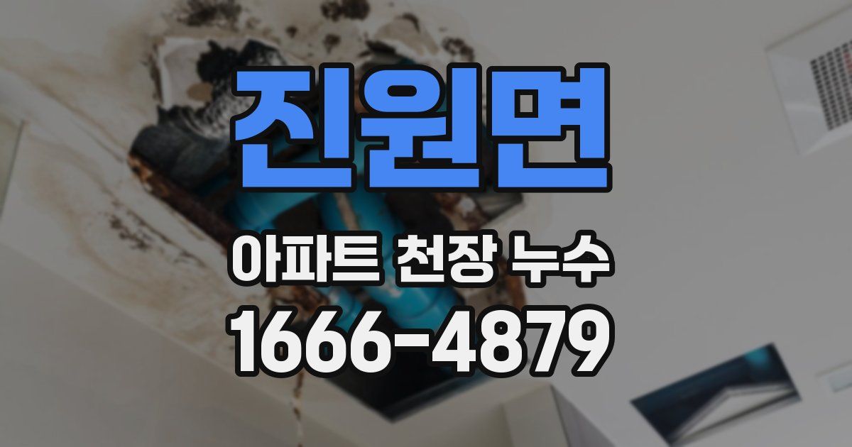 진원면 아파트 천장 누수