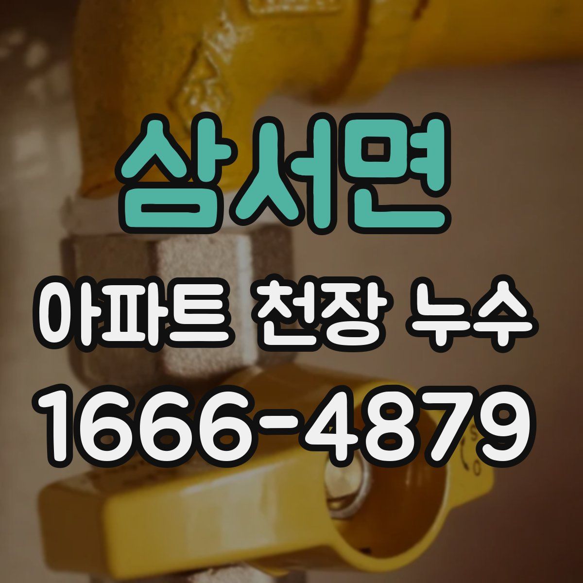 삼서면 아파트 천장 누수