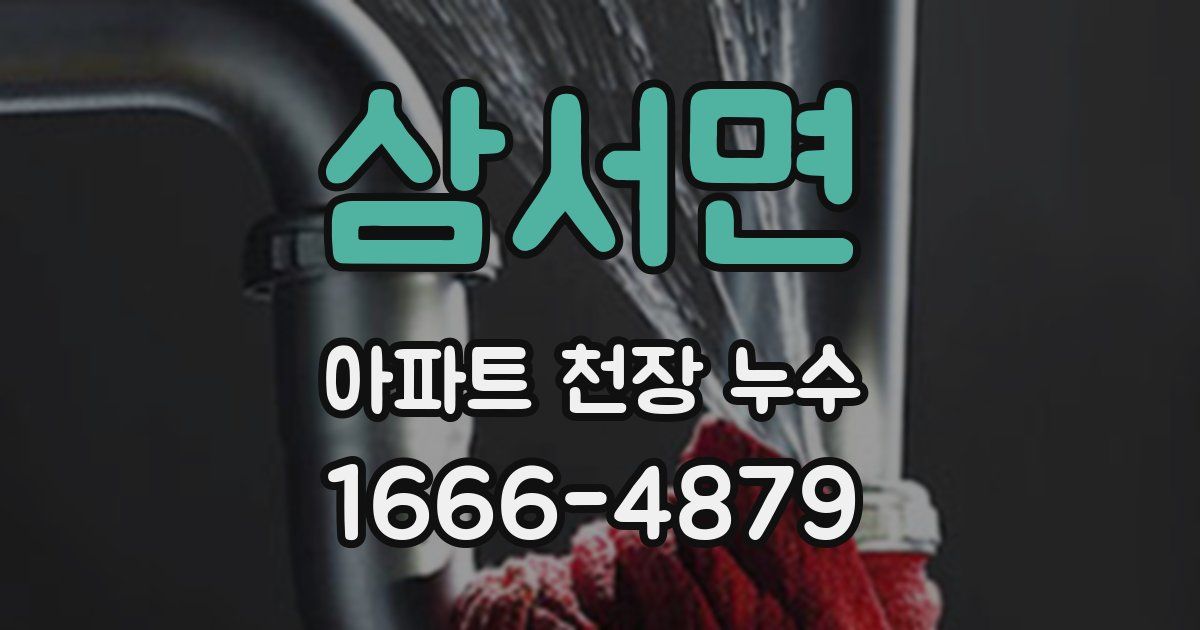 삼서면 아파트 천장 누수