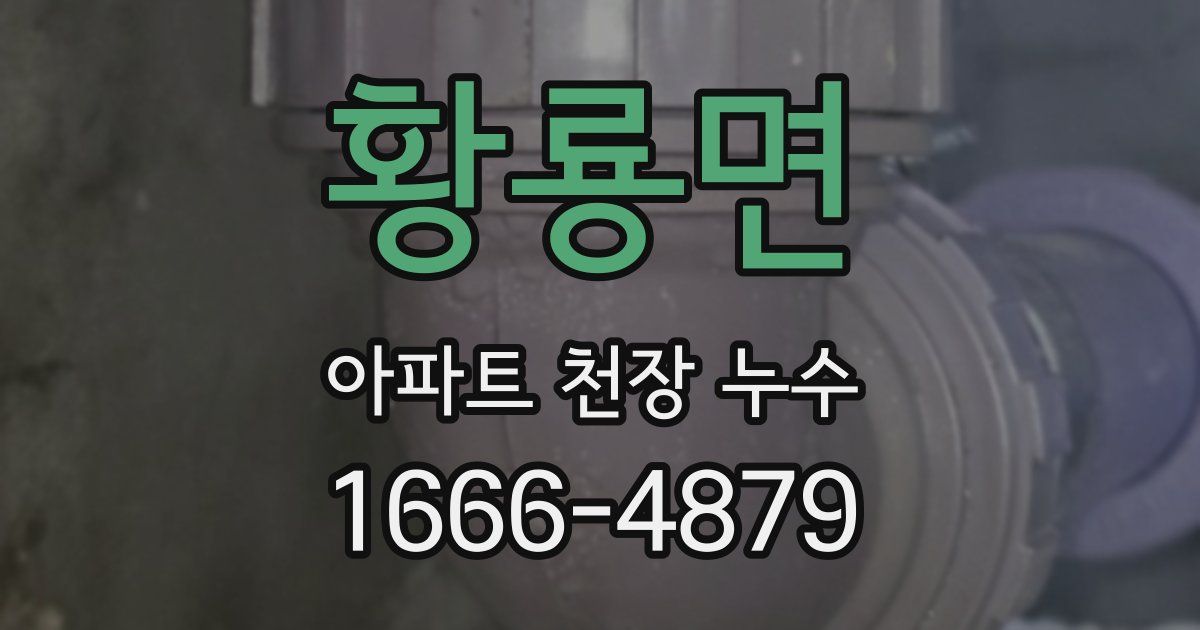 황룡면 아파트 천장 누수