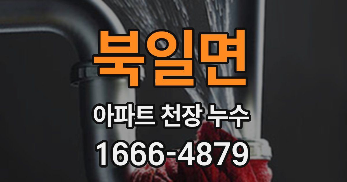 북일면 아파트 천장 누수