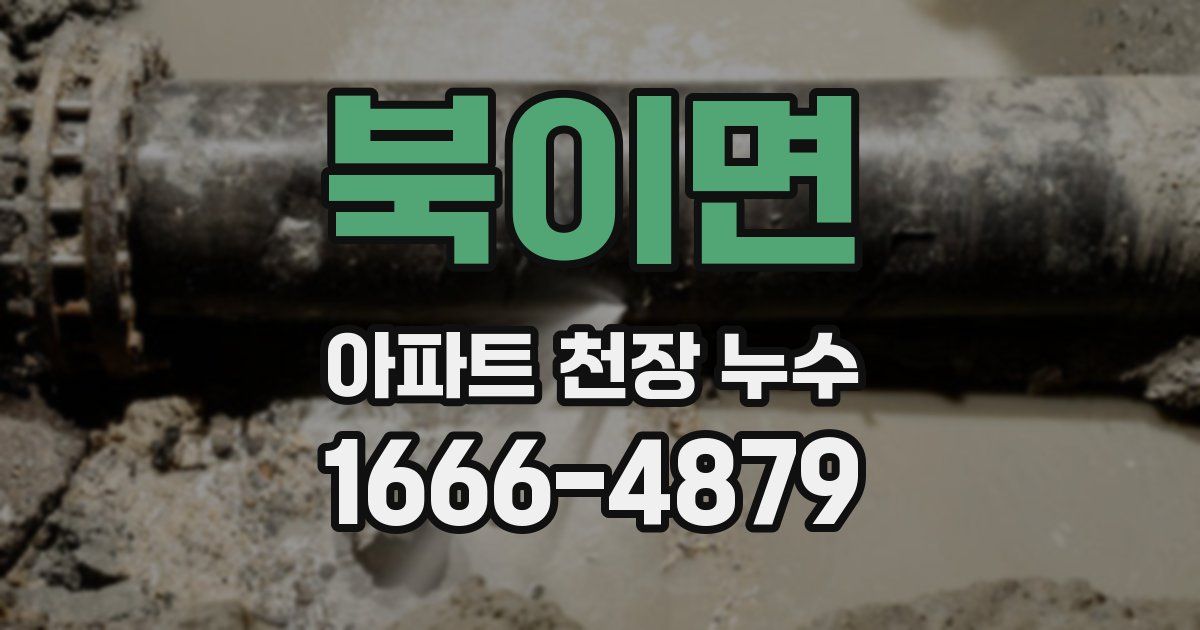 북이면 아파트 천장 누수