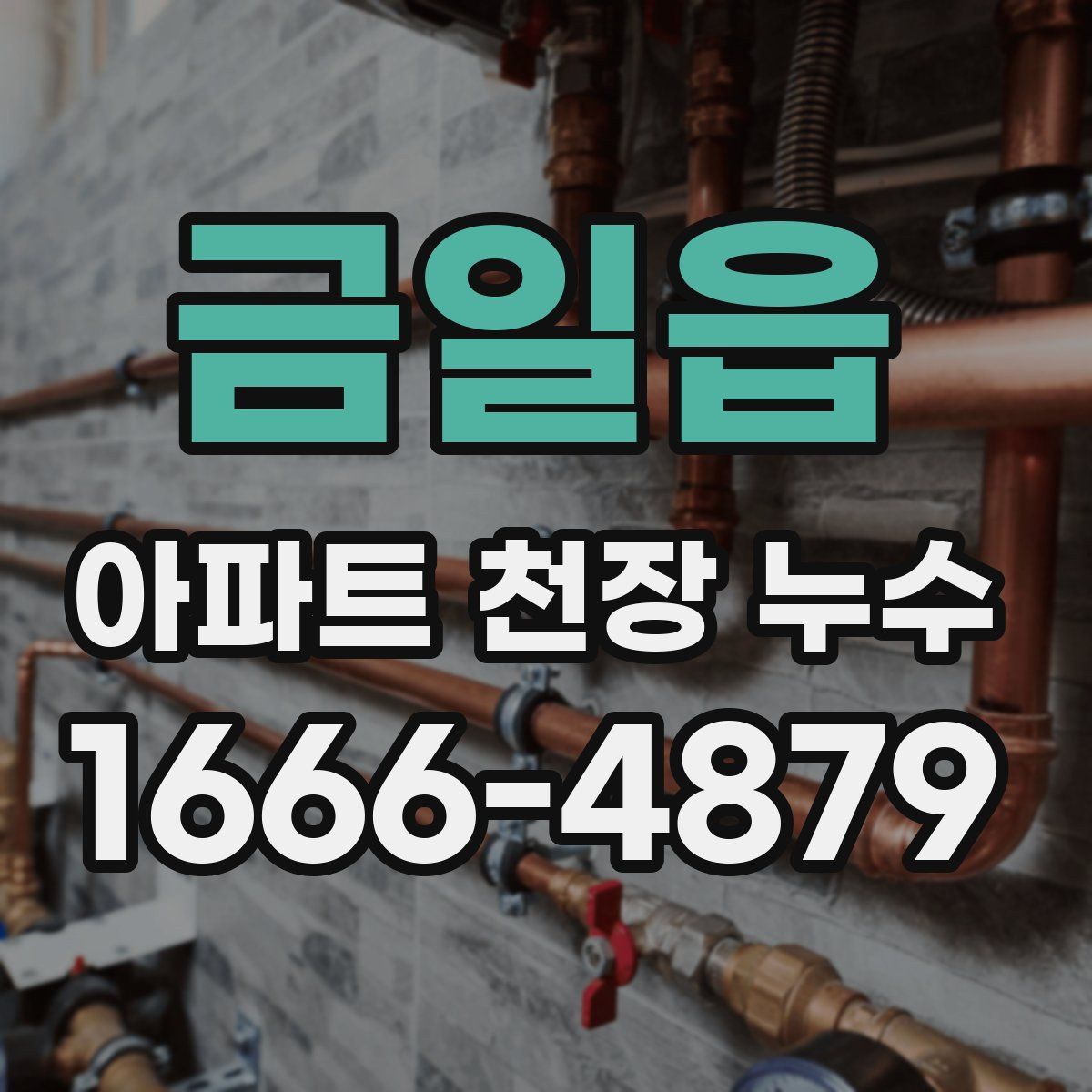 금일읍 아파트 천장 누수
