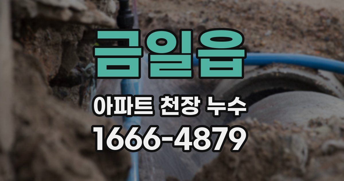 금일읍 아파트 천장 누수