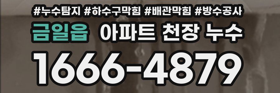 금일읍 아파트 천장 누수