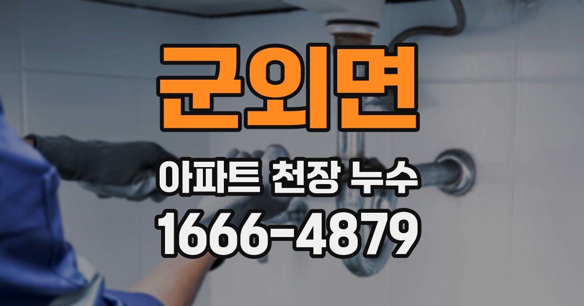 군외면 아파트 천장 누수