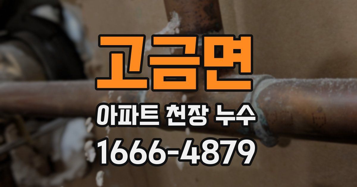 고금면 아파트 천장 누수