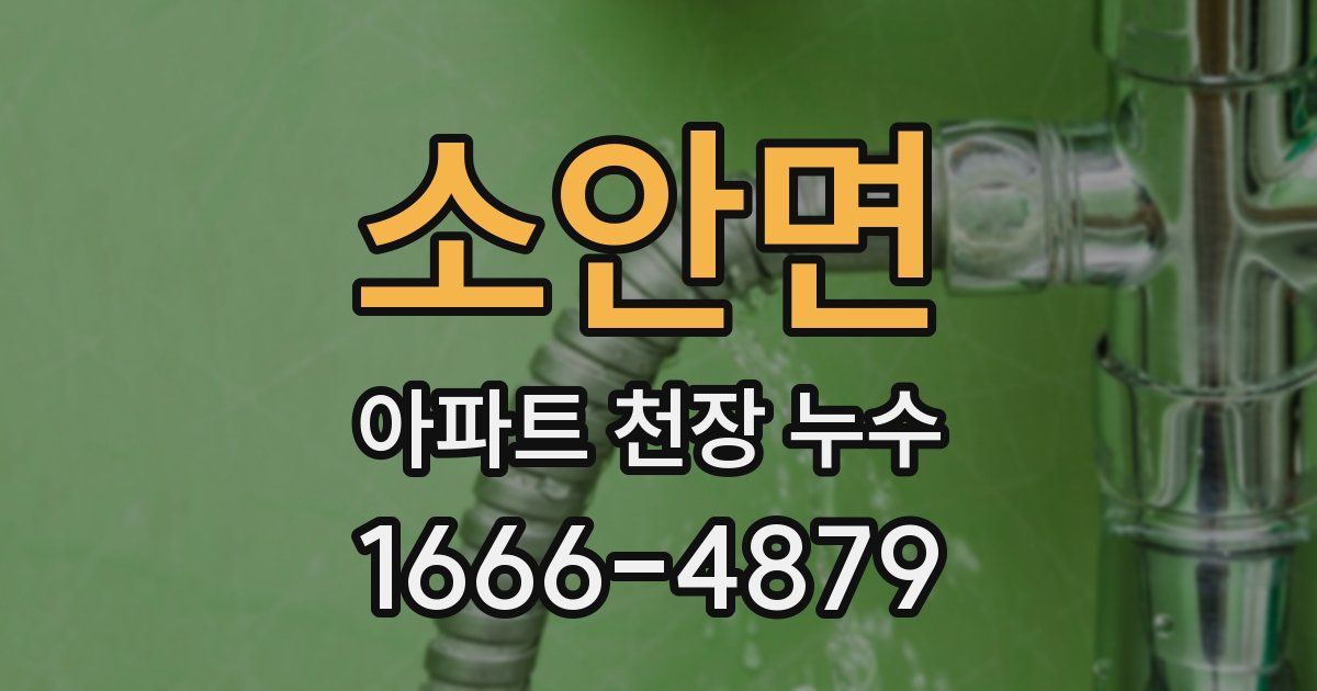 소안면 아파트 천장 누수