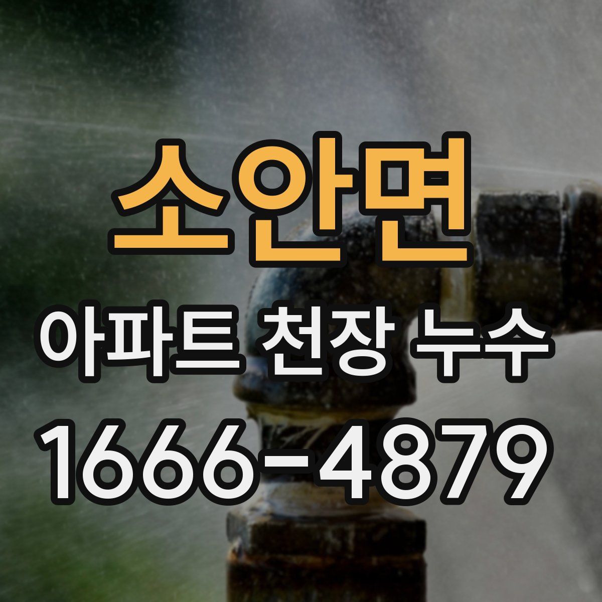 소안면 아파트 천장 누수