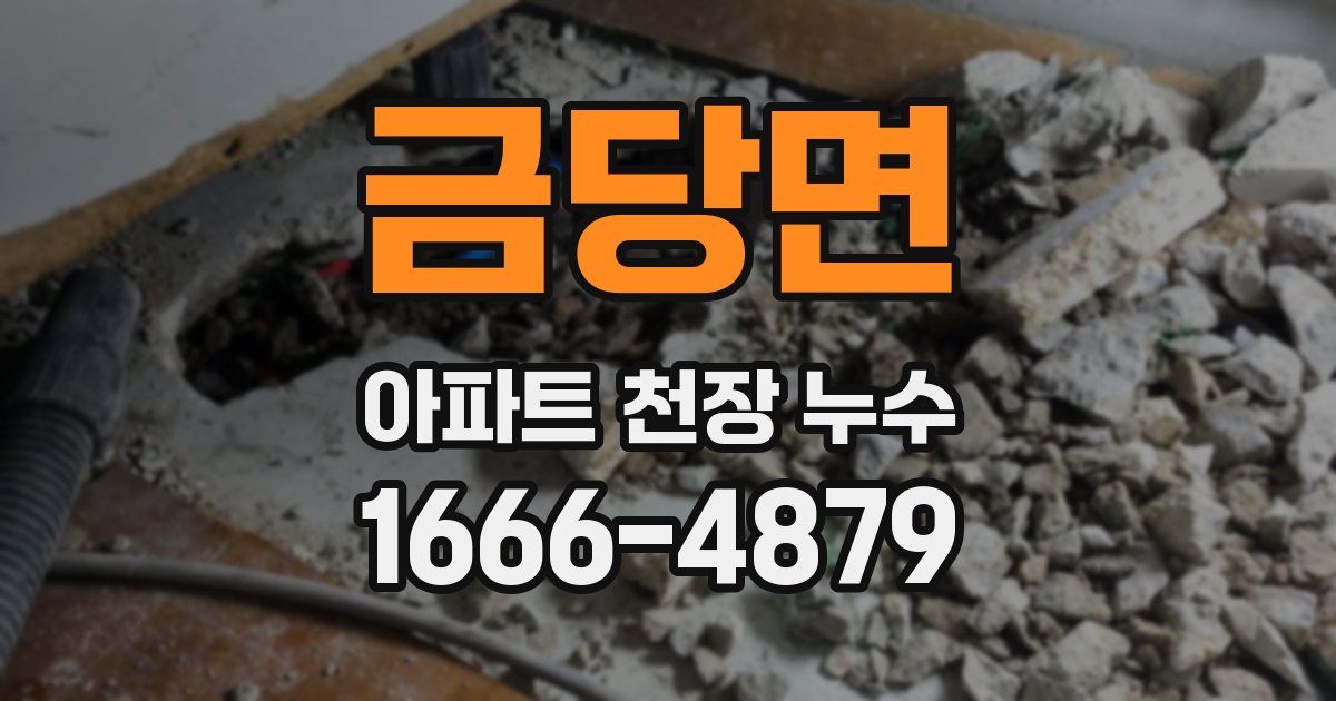 금당면 아파트 천장 누수
