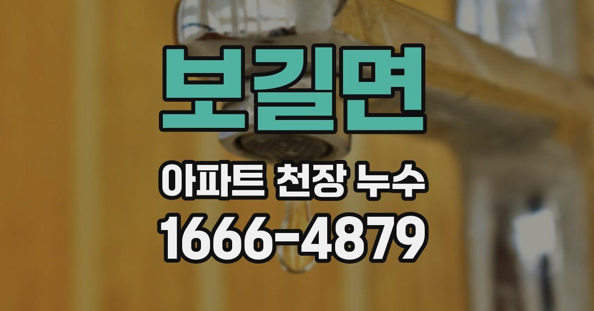 보길면 아파트 천장 누수