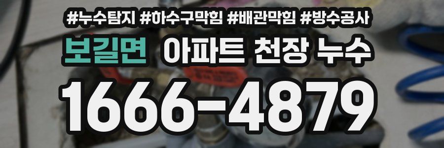 보길면 아파트 천장 누수
