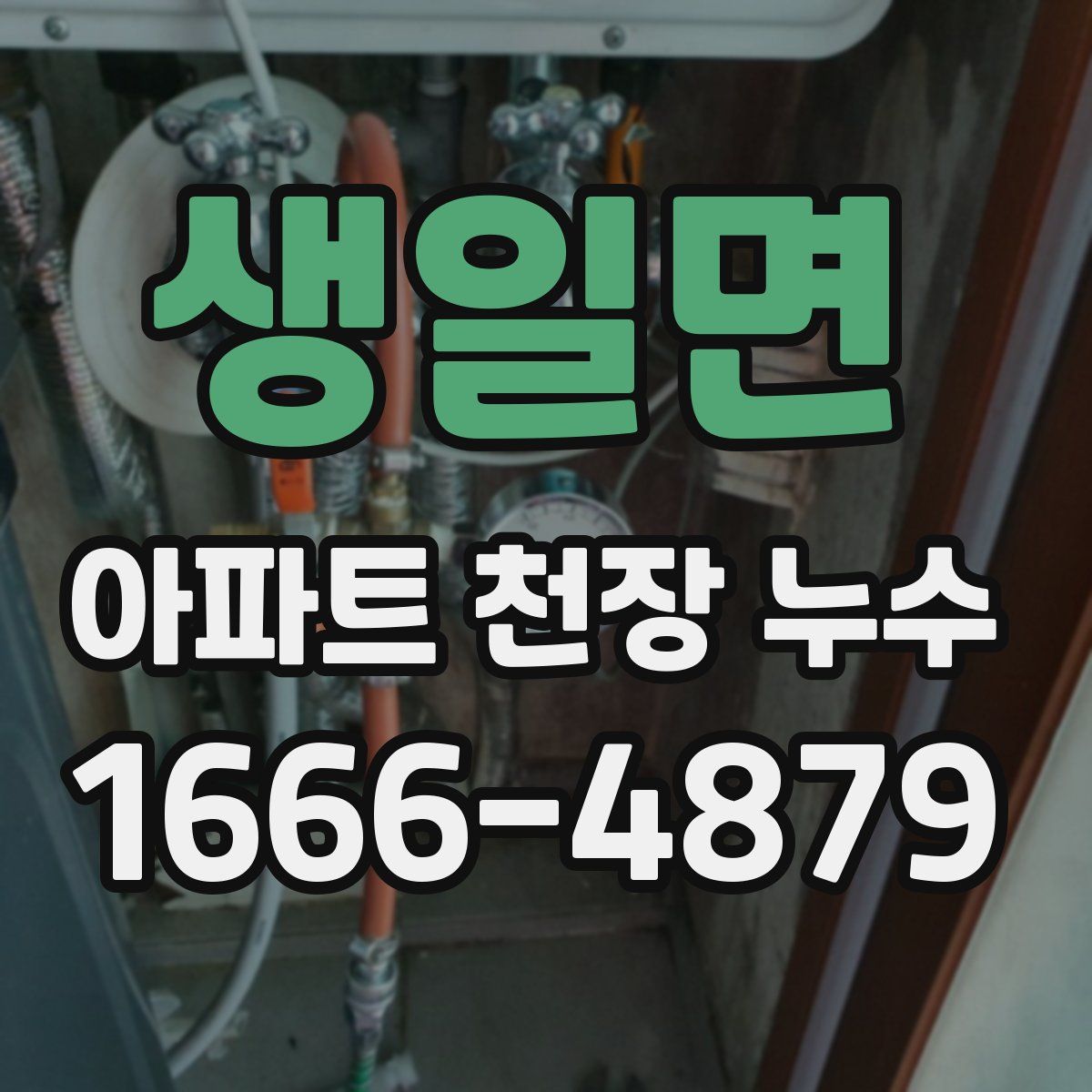 생일면 아파트 천장 누수