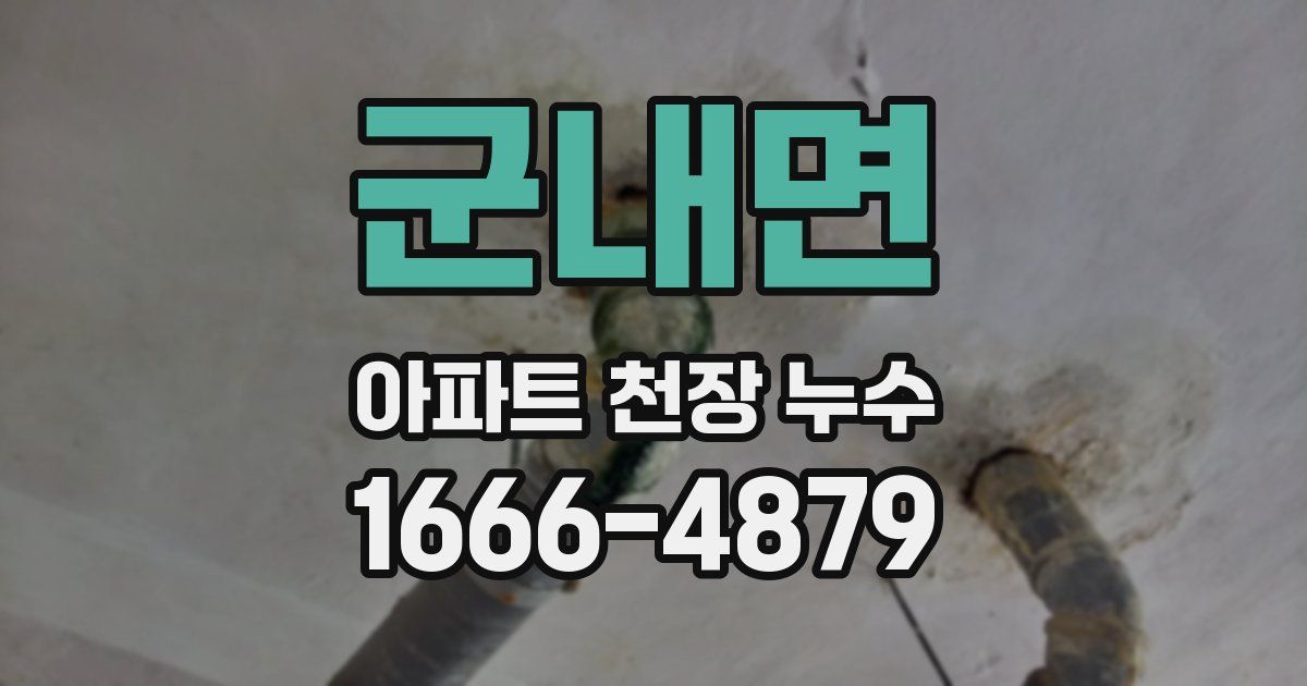 군내면 아파트 천장 누수