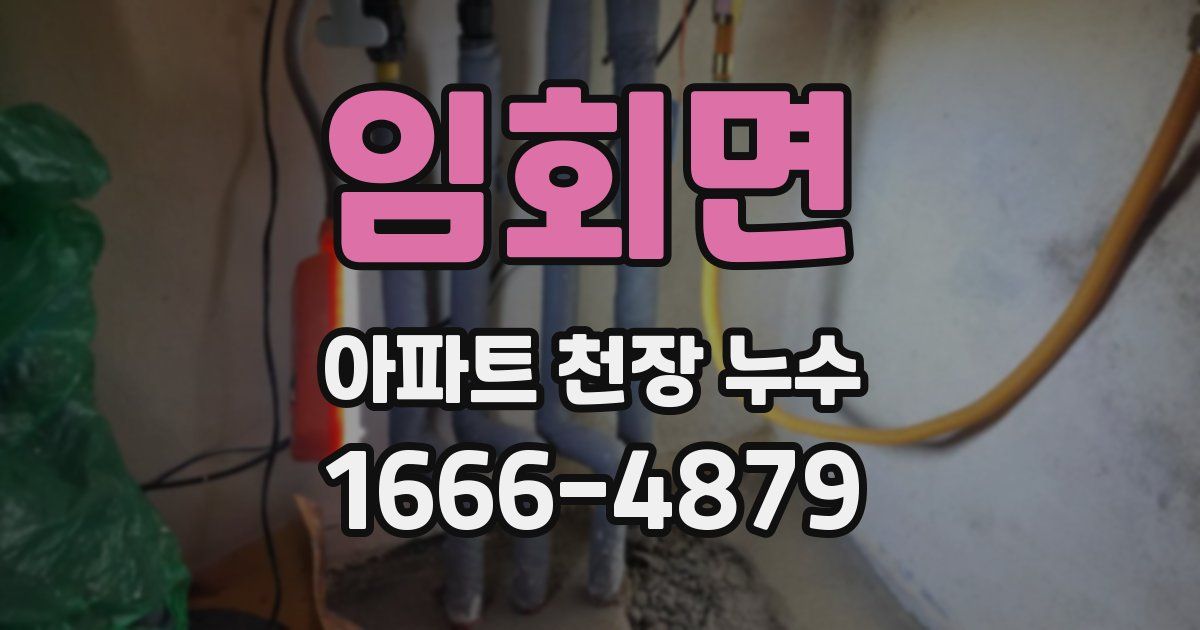 임회면 아파트 천장 누수