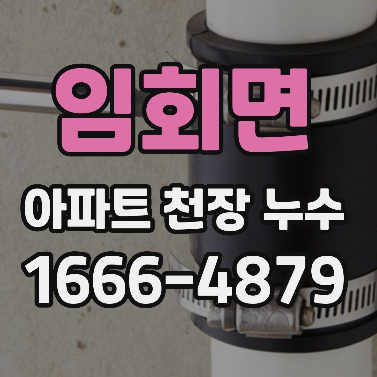 임회면 아파트 천장 누수