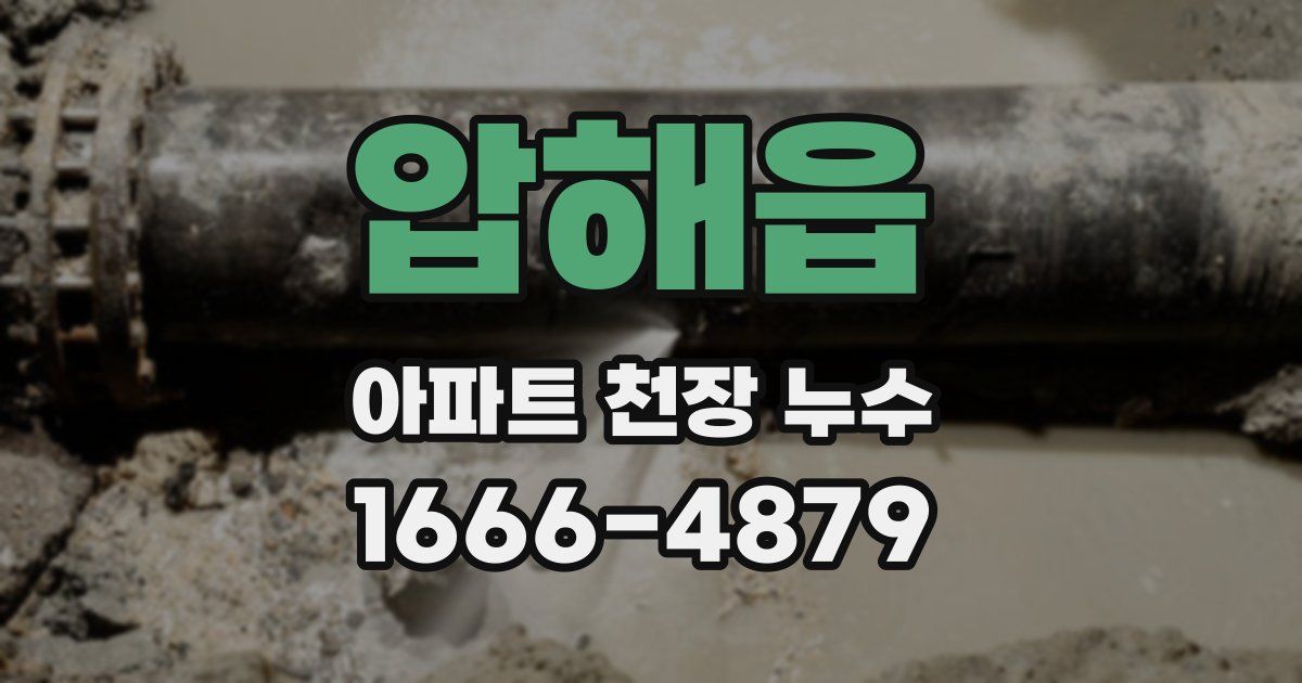 압해읍 아파트 천장 누수