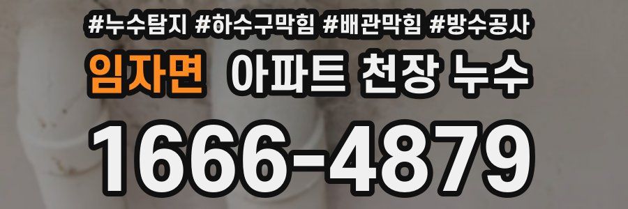 임자면 아파트 천장 누수