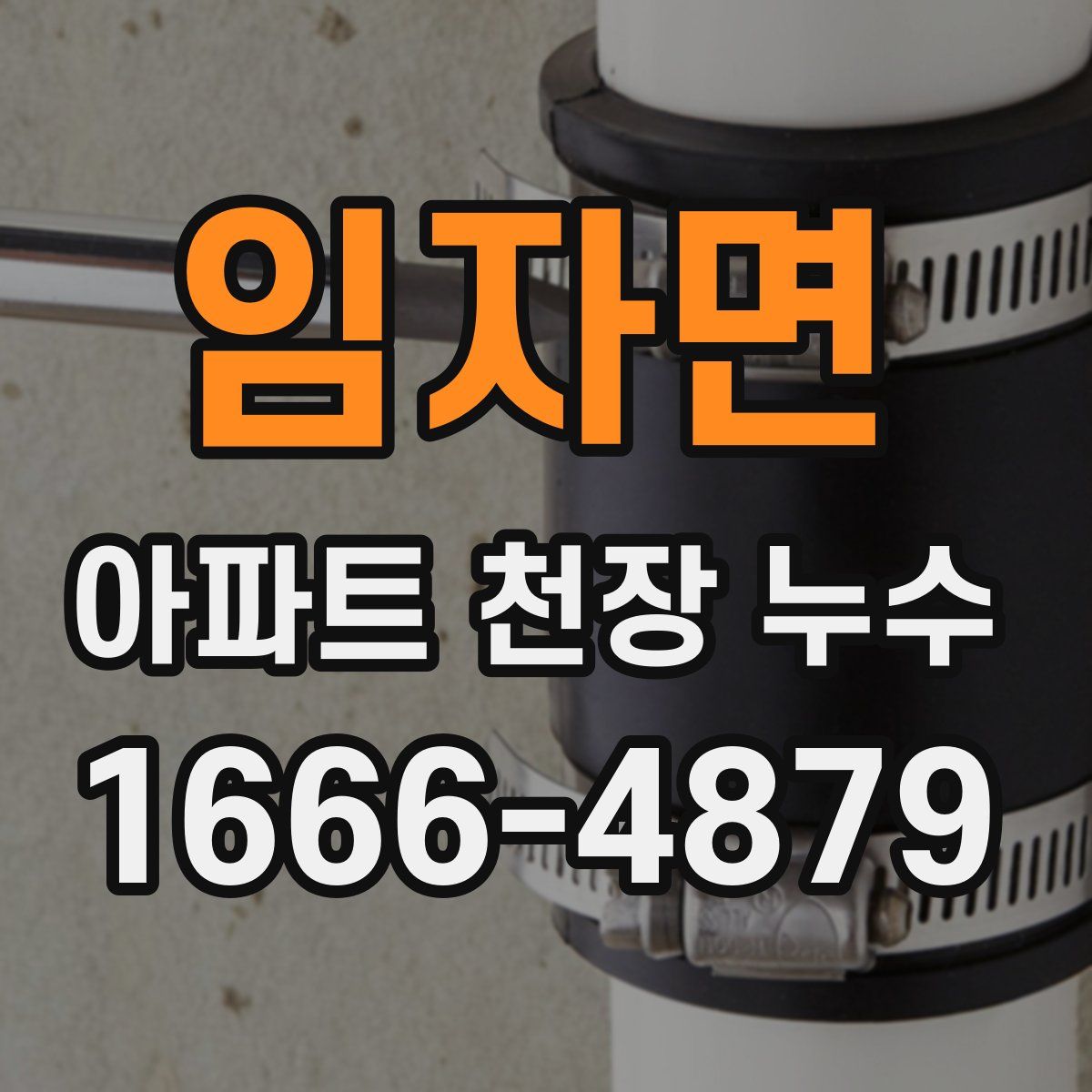 임자면 아파트 천장 누수