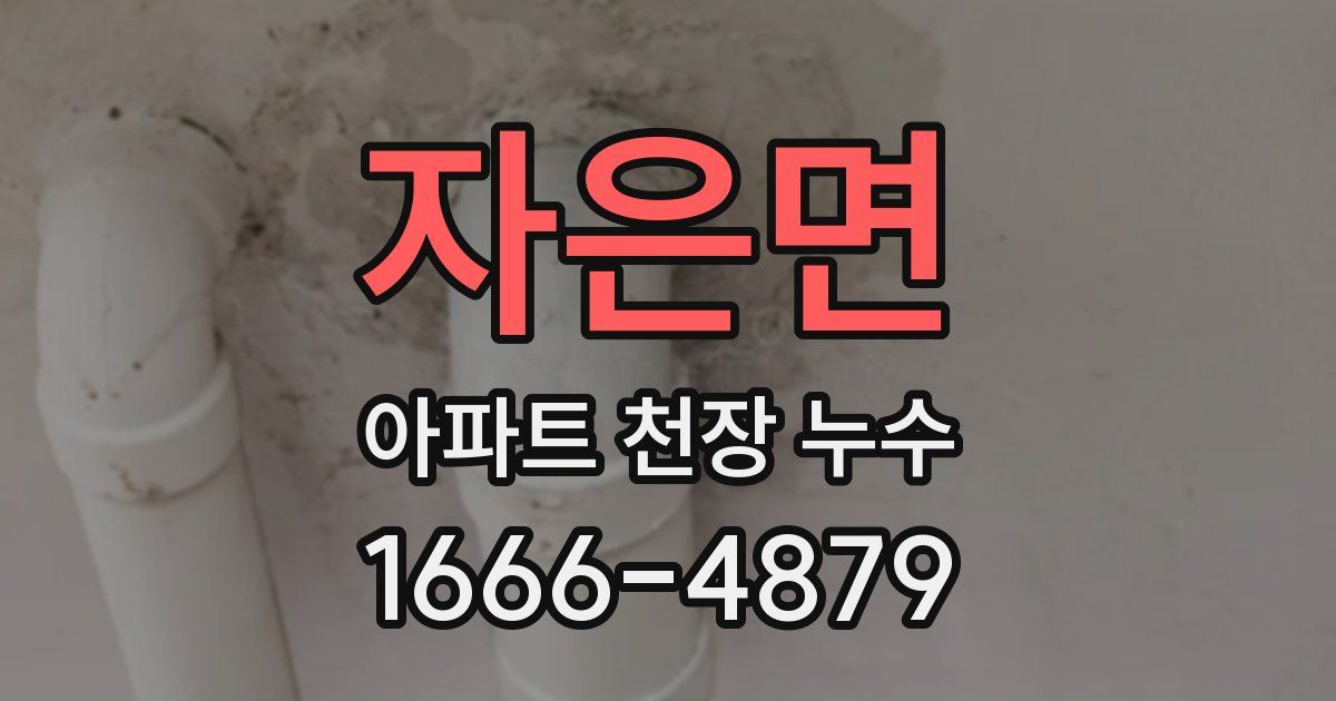 자은면 아파트 천장 누수