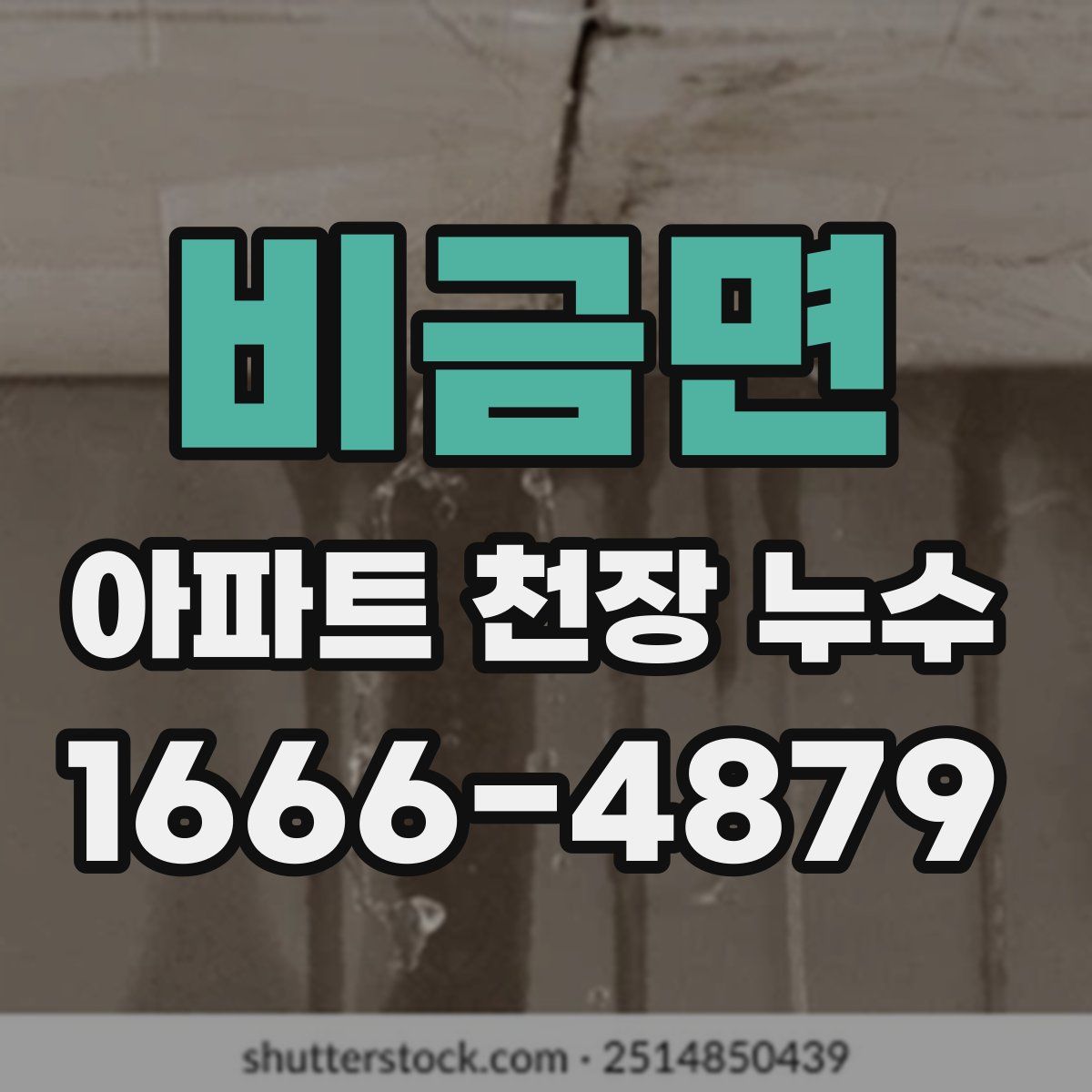 비금면 아파트 천장 누수