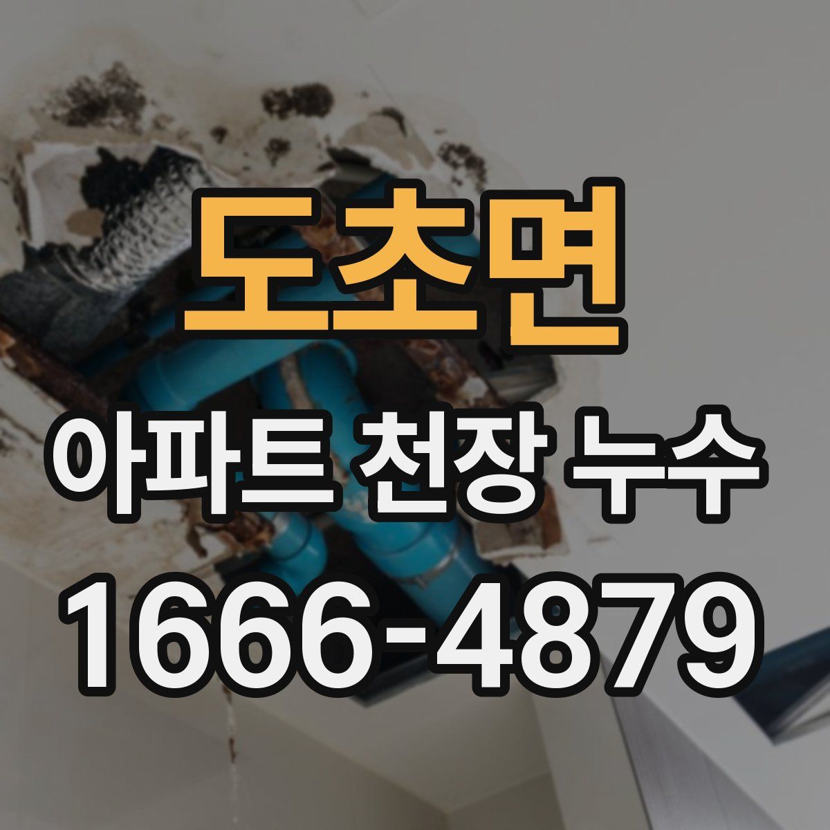 도초면 아파트 천장 누수