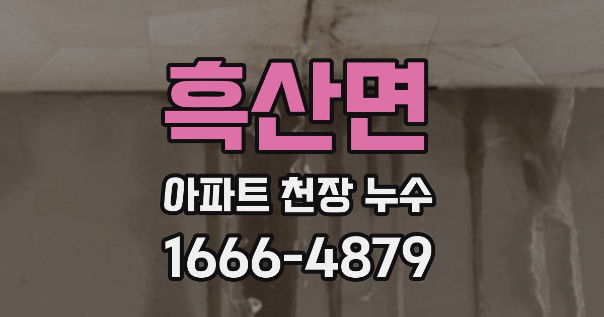흑산면 아파트 천장 누수