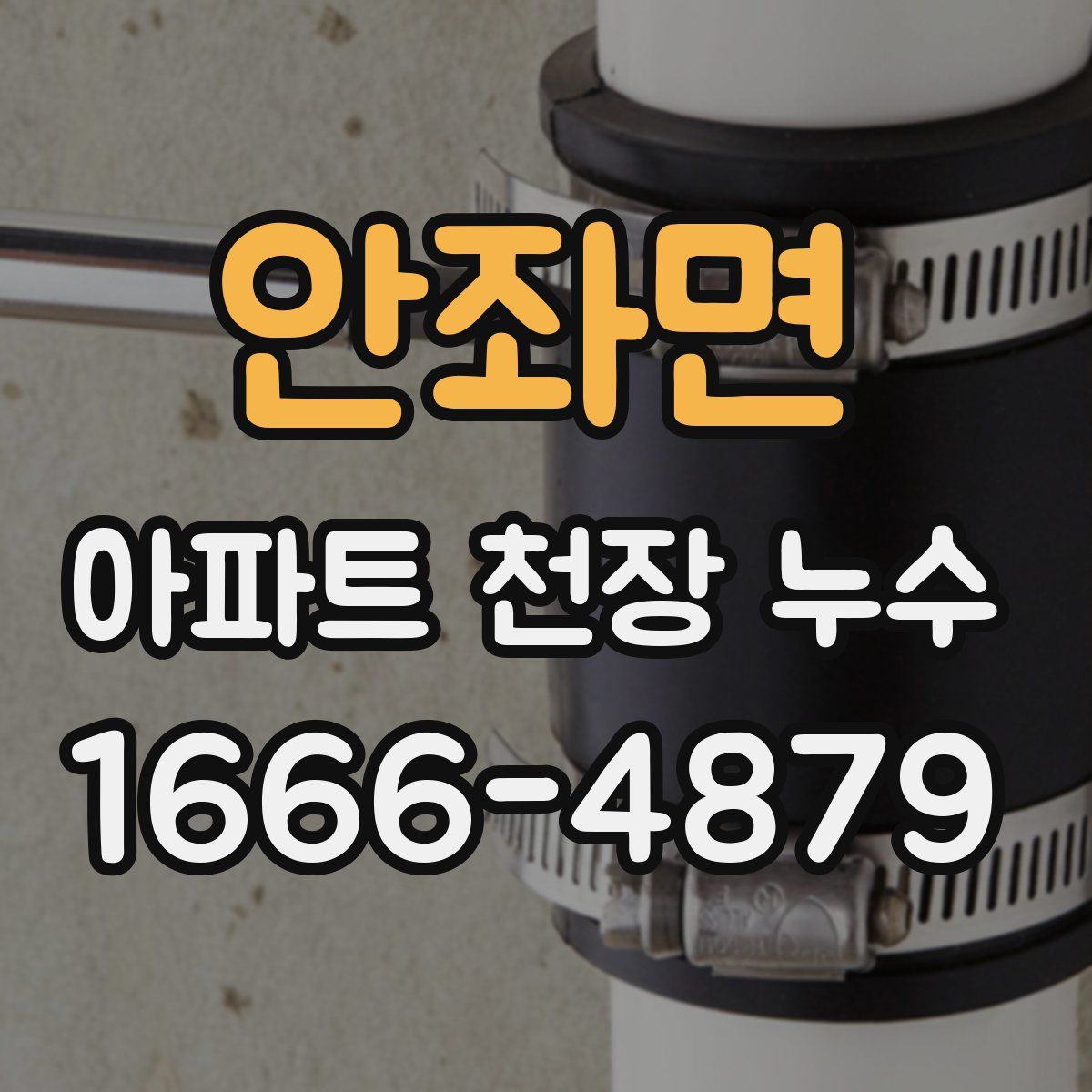 안좌면 아파트 천장 누수